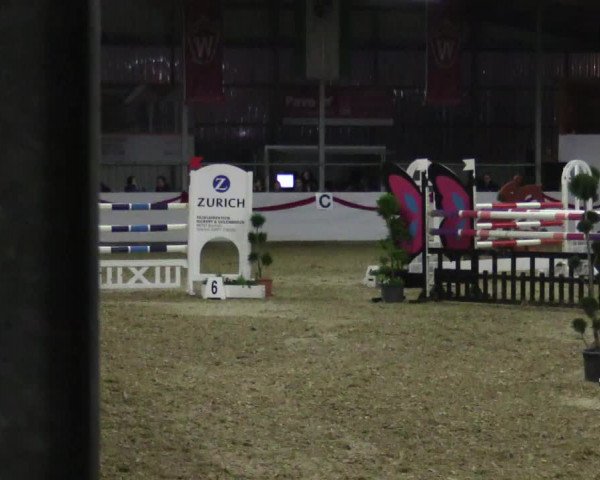 Reitturnier Rhede-Krommert 2017