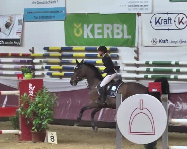 Reitturnier Eicherloh RH Laurent 2017