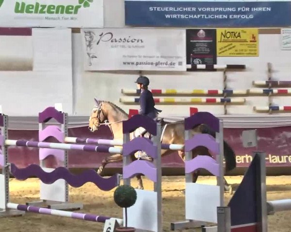 Reitturnier Eicherloh RH Laurent 2017