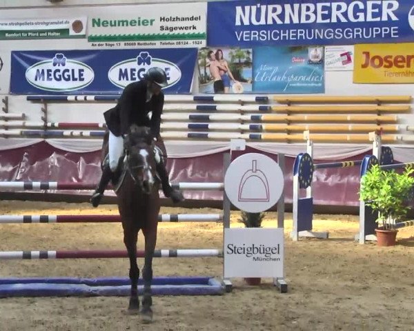 Reitturnier Eicherloh RH Laurent 2017