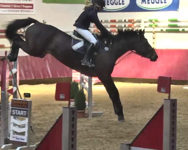 Reitturnier Eicherloh RH Laurent 2017