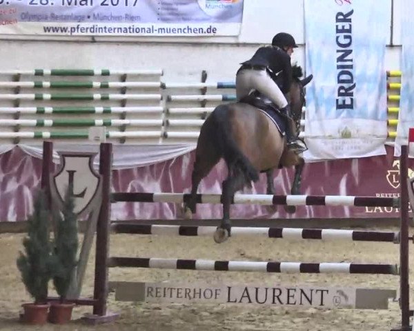 Reitturnier Eicherloh RH Laurent 2017