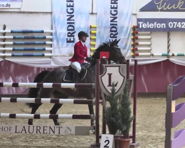 Reitturnier Eicherloh RH Laurent 2017
