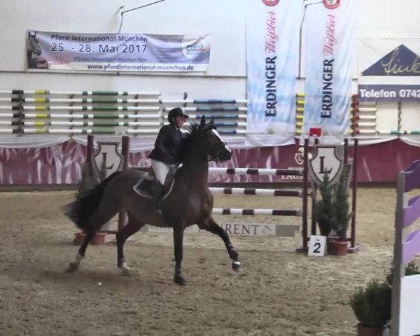 Reitturnier Eicherloh RH Laurent 2017