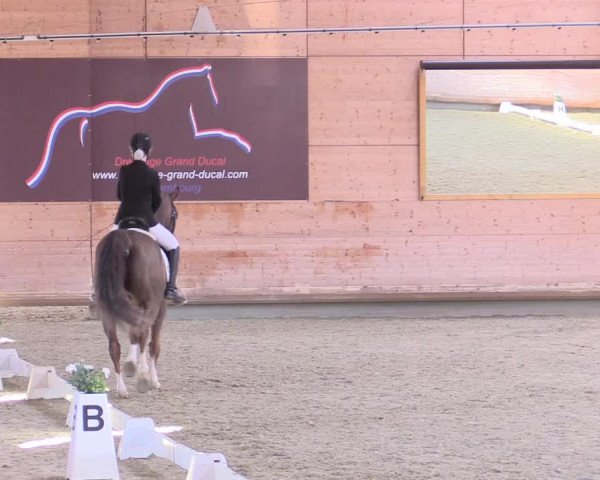 Reitturnier Leudelange-Ecuries des Prés 2017