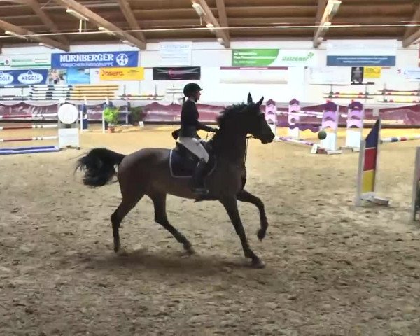 Reitturnier Eicherloh RH Laurent 2017