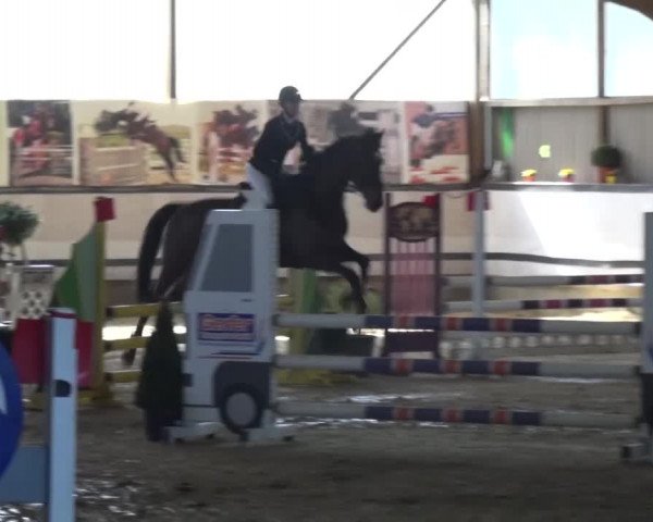 Reitturnier Lindlar-Süttenbach 2017