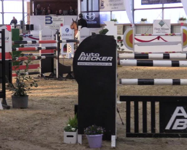 Reitturnier Rhede-Krommert 2017