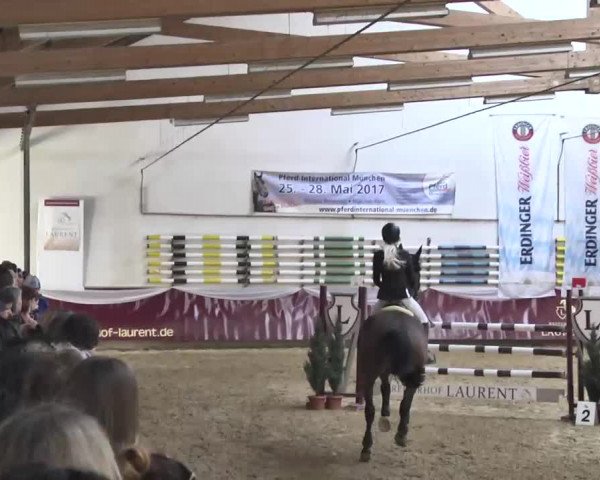 Reitturnier Eicherloh RH Laurent 2017