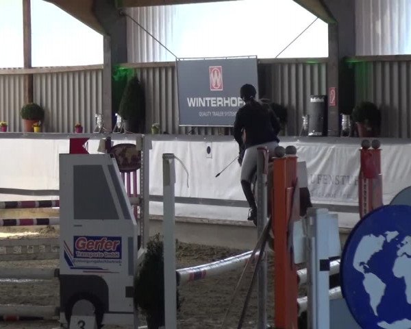 Reitturnier Lindlar-Süttenbach 2017