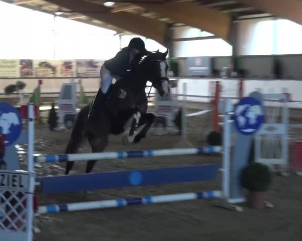 Reitturnier Lindlar-Süttenbach 2017