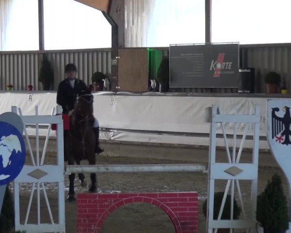 Reitturnier Lindlar-Süttenbach 2017