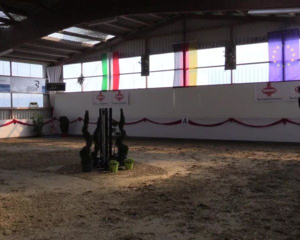 Reitturnier Rhede-Krommert 2017