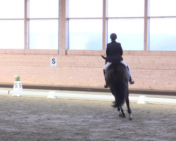 Reitturnier Leudelange-Ecuries des Prés 2017