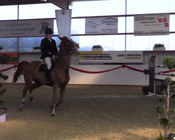 Reitturnier Rhede-Krommert 2017