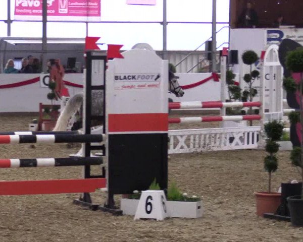 Reitturnier Rhede-Krommert 2017