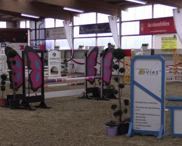 Reitturnier Rhede-Krommert 2017