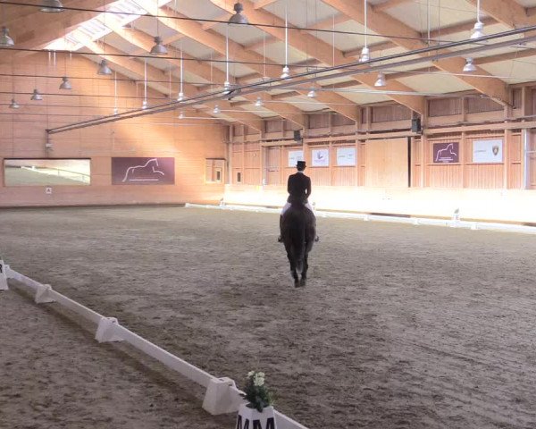 Reitturnier Leudelange-Ecuries des Prés 2017