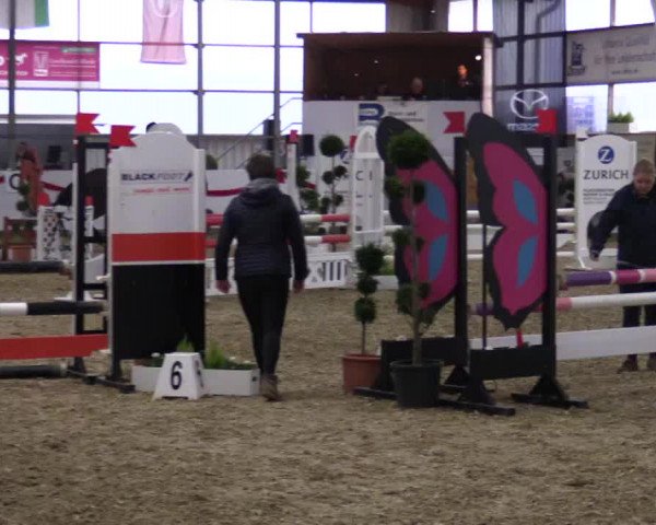 Reitturnier Rhede-Krommert 2017