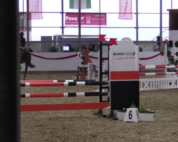 Reitturnier Rhede-Krommert 2017