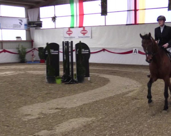 Reitturnier Rhede-Krommert 2017