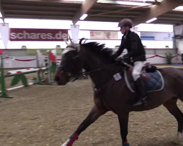 Reitturnier Rhede-Krommert 2017