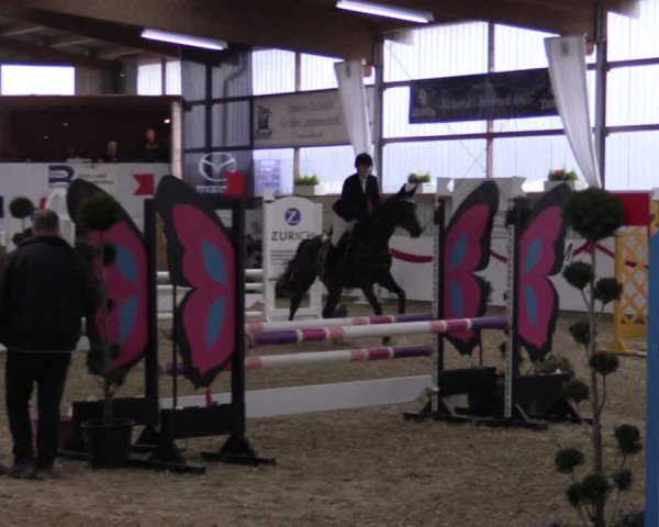 Reitturnier Rhede-Krommert 2017