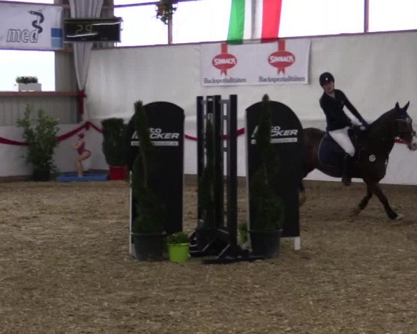 Reitturnier Rhede-Krommert 2017