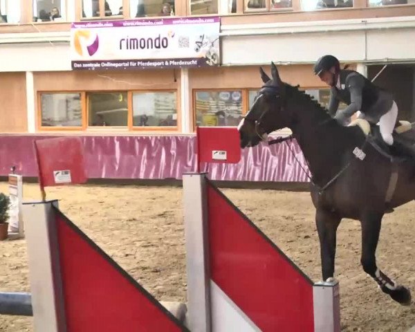 Reitturnier Eicherloh RH Laurent 2017