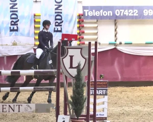 Reitturnier Eicherloh RH Laurent 2017