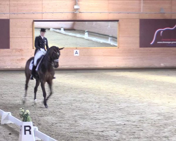 Reitturnier Leudelange-Ecuries des Prés 2017
