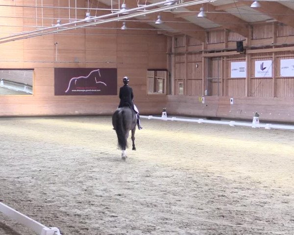 Reitturnier Leudelange-Ecuries des Prés 2017
