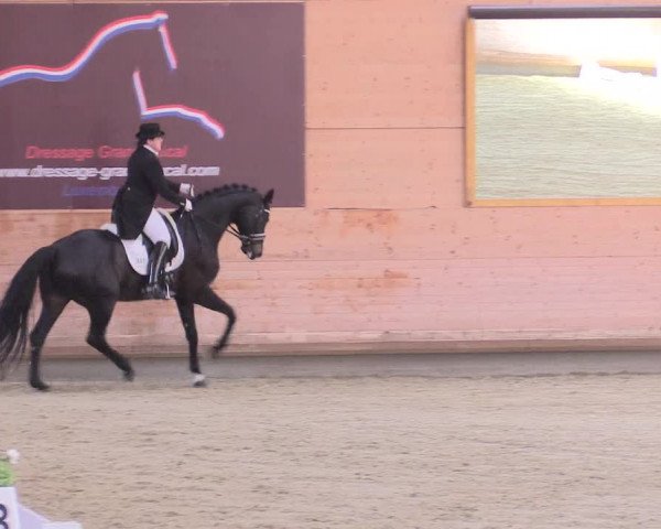 Reitturnier Leudelange-Ecuries des Prés 2017