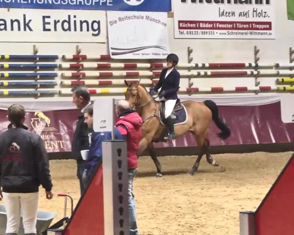 Reitturnier Eicherloh RH Laurent 2017
