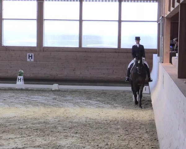 Reitturnier Leudelange-Ecuries des Prés 2017