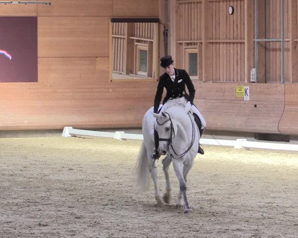 Reitturnier Leudelange-Ecuries des Prés 2017