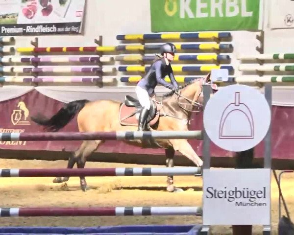 Reitturnier Eicherloh RH Laurent 2017
