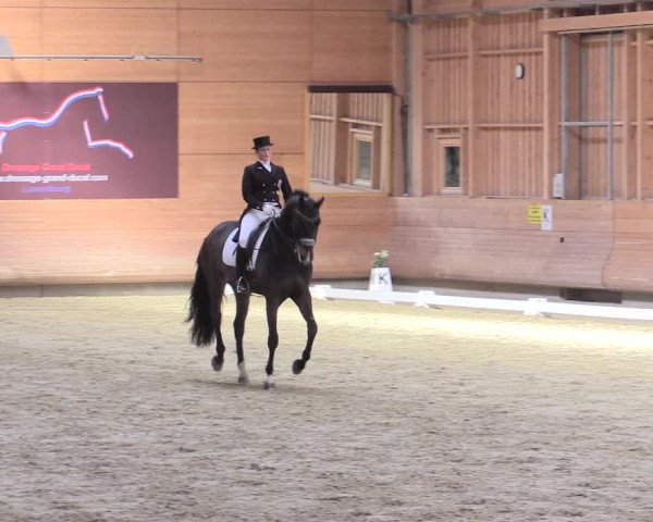 Reitturnier Leudelange-Ecuries des Prés 2017
