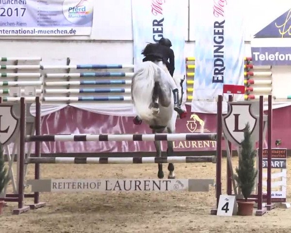 Reitturnier Eicherloh RH Laurent 2017
