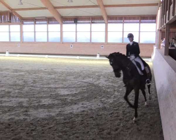 Reitturnier Leudelange-Ecuries des Prés 2017