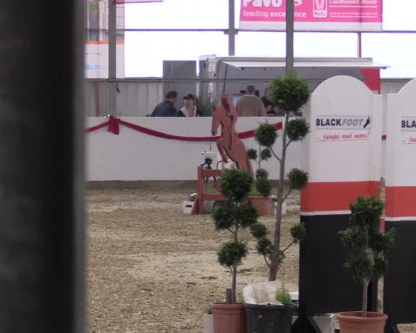 Reitturnier Rhede-Krommert 2017