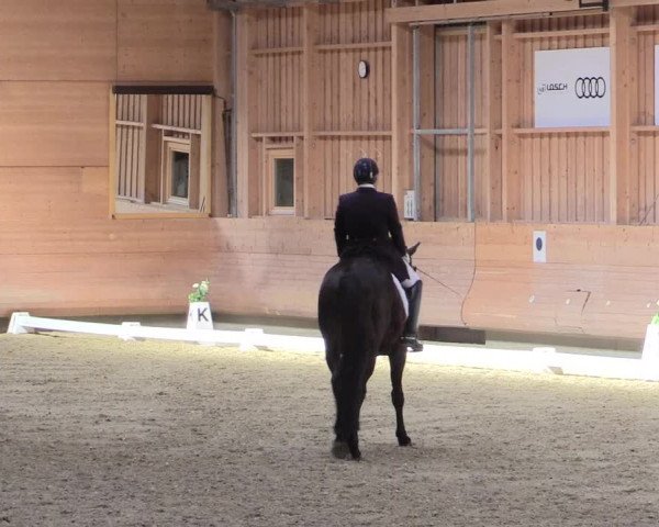 Reitturnier Leudelange-Ecuries des Prés 2017