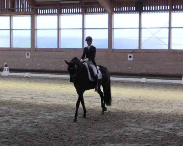 Reitturnier Leudelange-Ecuries des Prés 2017