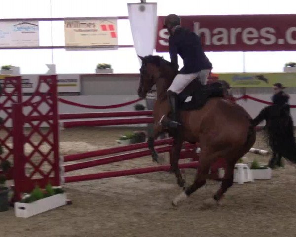 Reitturnier Rhede-Krommert 2017