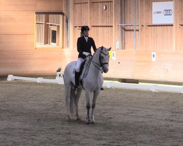 Reitturnier Leudelange-Ecuries des Prés 2017