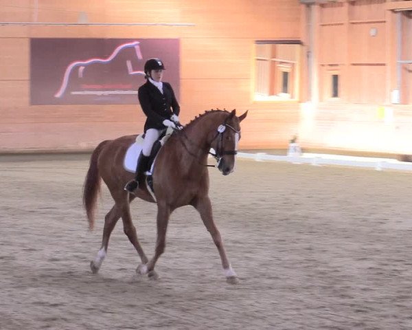 Reitturnier Leudelange-Ecuries des Prés 2017