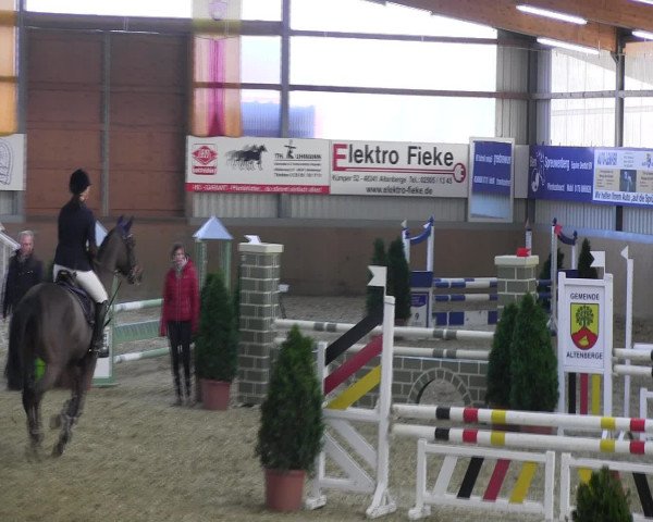 Reitturnier Altenberge 2017