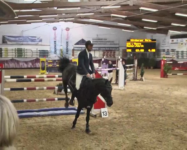 Reitturnier Eicherloh RH Laurent 2017