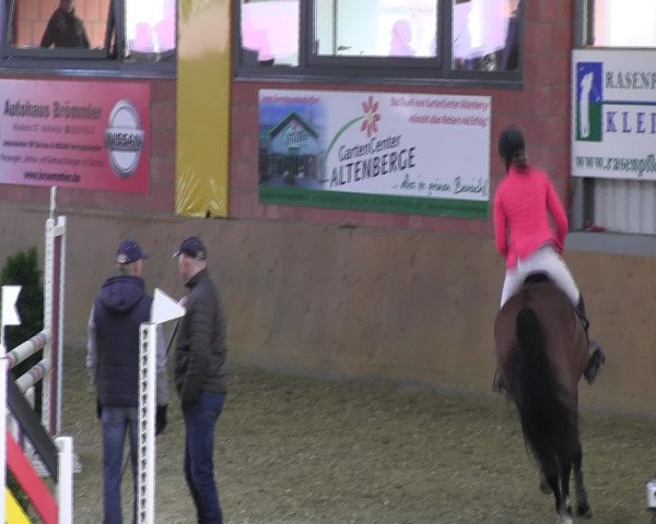 Reitturnier Altenberge 2017