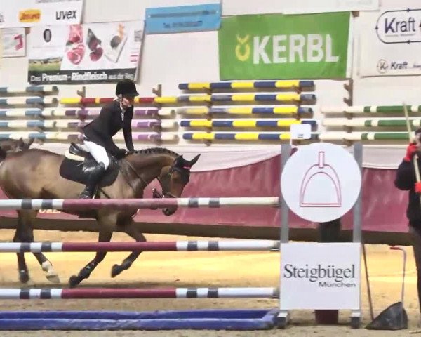 Reitturnier Eicherloh RH Laurent 2017